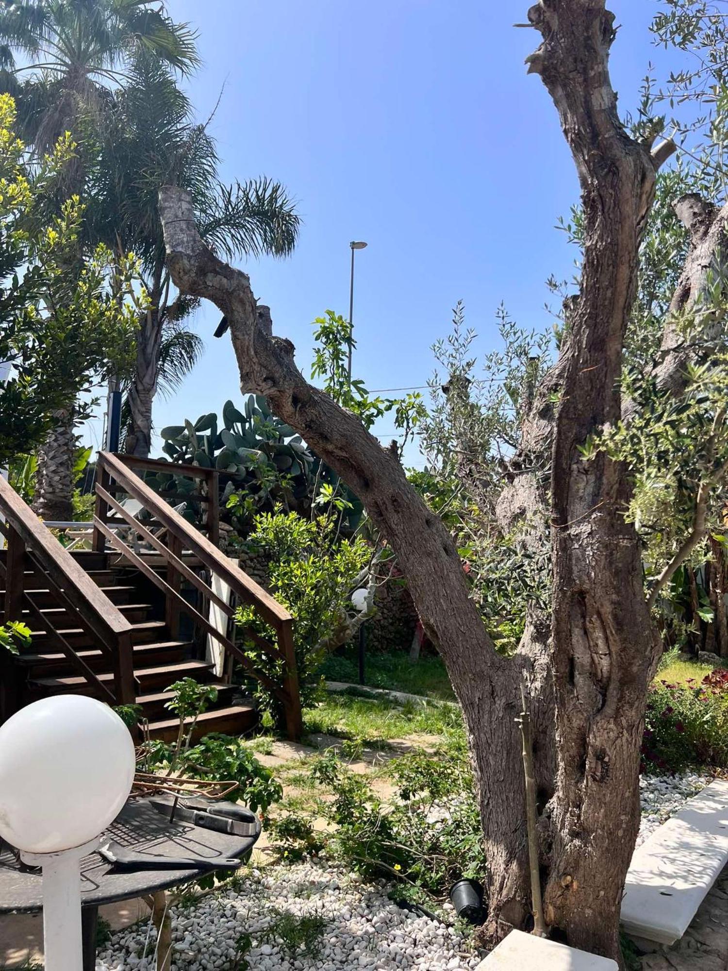 Villa Casa Vacanze Fiore Gallipoli Exterior foto